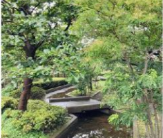 ダイアパレス立石