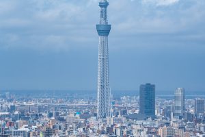パークタワー晴海 48階 プレミアムの邸宅