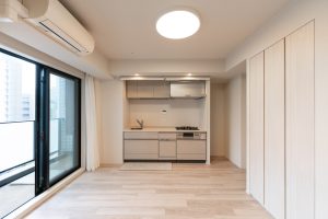 リビオレゾン新虎通り 10階