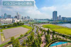 パークタワー晴海 8階